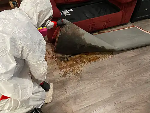 biohazard technicians removing layers of blood.